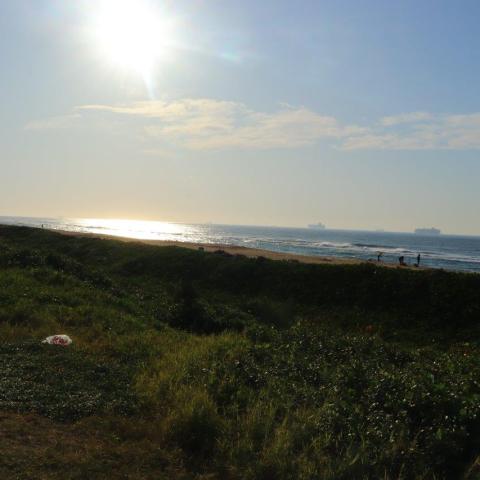Grassy hillside overlooking the ocean with sunlight reflecting on water.