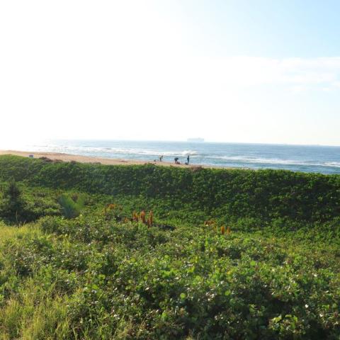 Lush green coastal landscape with people and distant ocean view under clear blue sky.