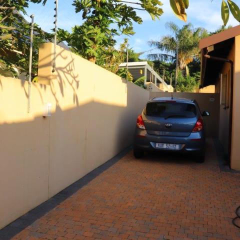 Car parked in narrow driveway, beige walls, plants above.