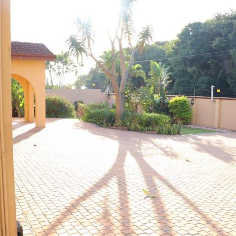 Sunlit patio with paved tiles, plants, and trees casting shadows.